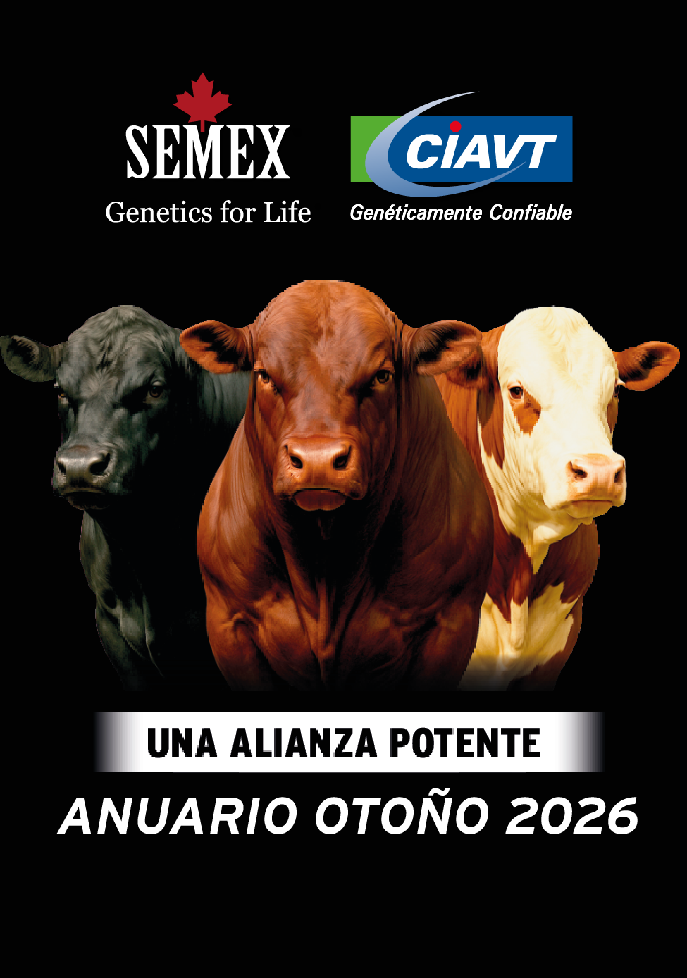 Anuario Beef Semex