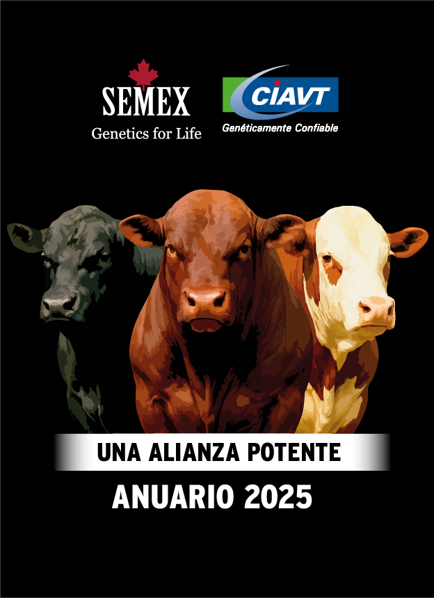 Anuario Beef Semex